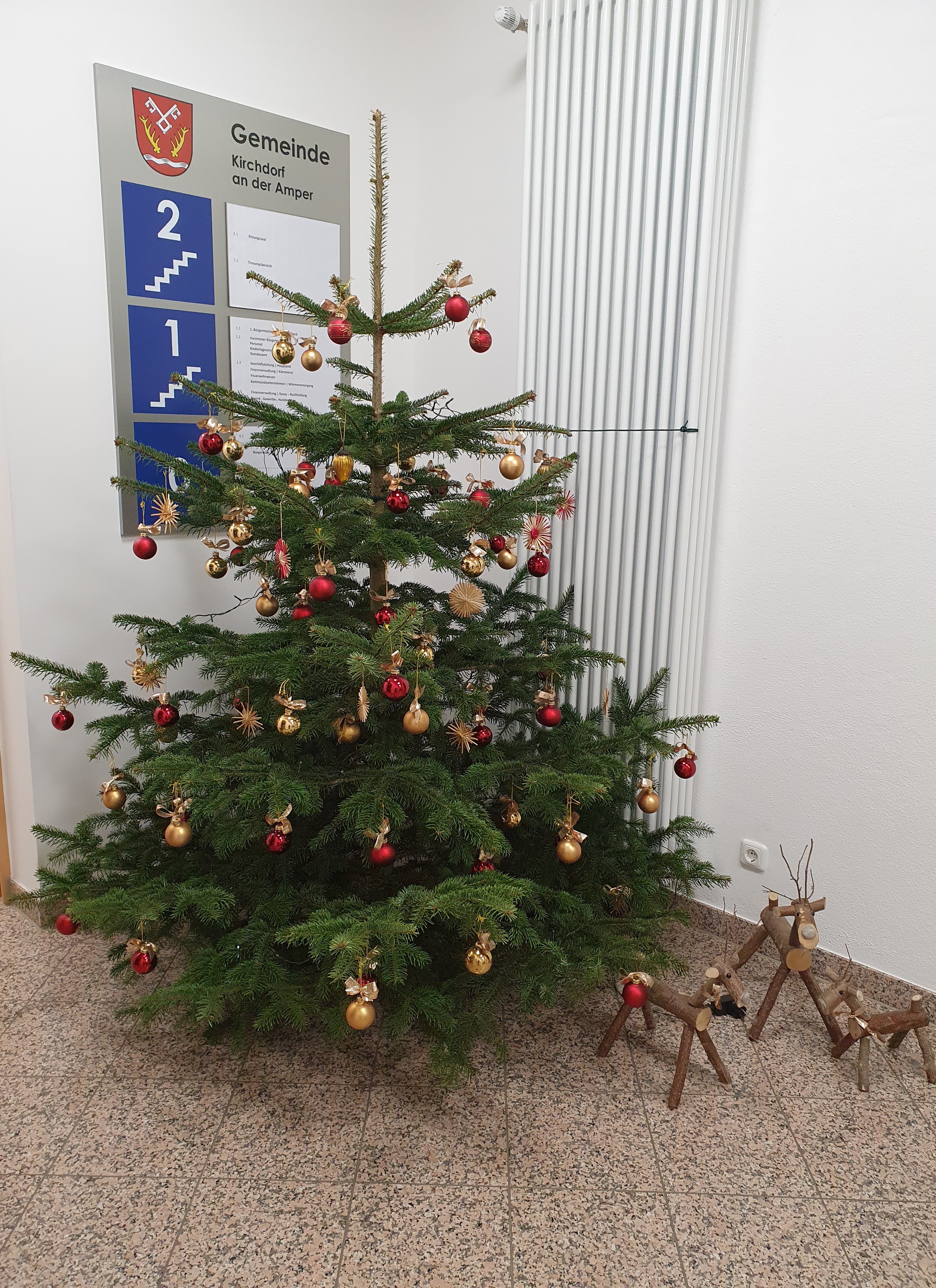 Christbaum im Rathaus